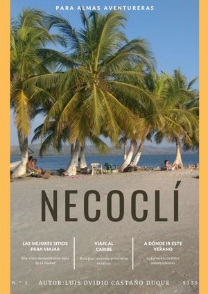 Revista Digital Construcion de Mi plan 2