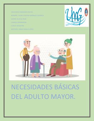 Portafolio De Las Necesidads Del Adulto Mayor