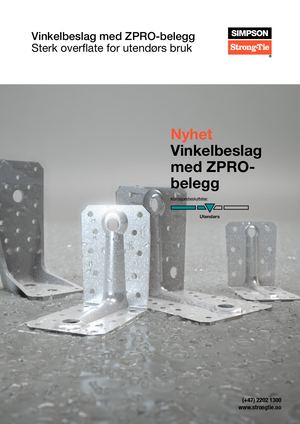 Flyer Zpro Norsk