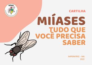 Miiases Tudo Que Você Precisa Saber