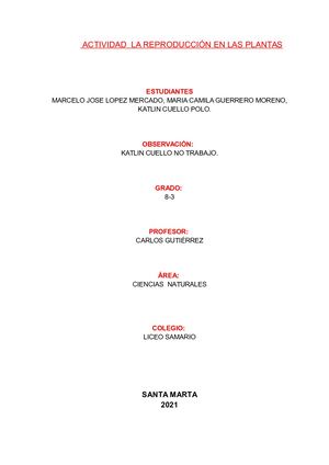 Actividad Reproduccion En Las Plantas