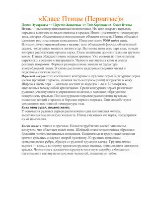 Класс Птицы