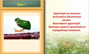 Адаптація як загальна властивість біосистем