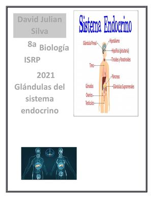 Glandulas Endocrinas