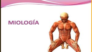 Miologia, Anatomia