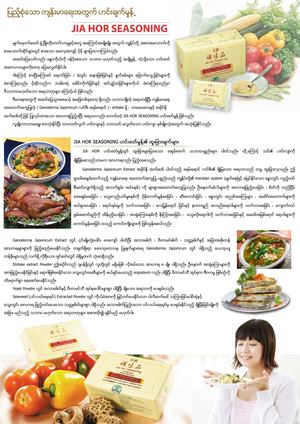 Jia Hor Seasoning Brochure (Burmese)