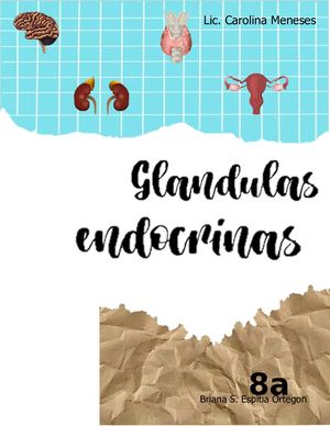 Glandulas Endocrinas