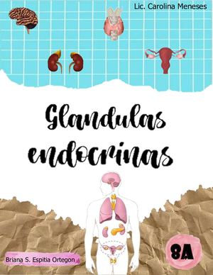 Glandulas Endocrinas