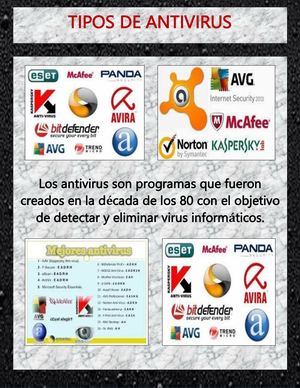 Linda Cu 4to Agroforestal