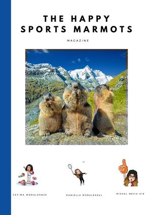 Badminton (1)