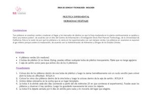 Experimento Sobre La Maduración De Los Frutos