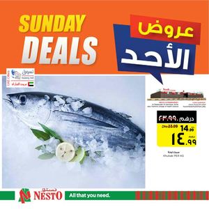 Tsawq Net Nesto Alraqayib Ajman 05 09 2021 01