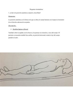 Anatomia Radiologica11