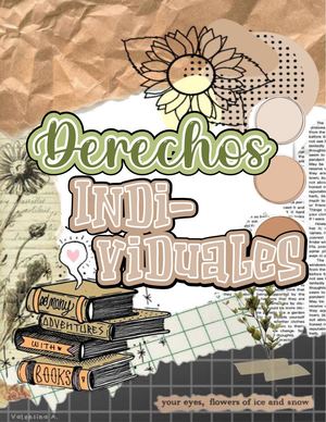 Derechos Individuales