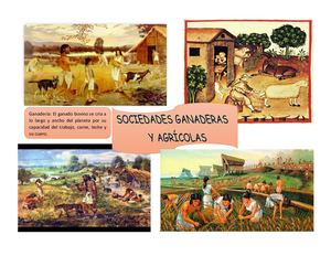 Sociedad Ganadera Y Agricolas Collage