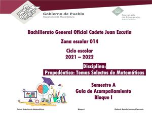 Guía De Acompañamiento Tsm G1