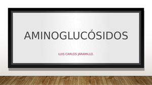Aminoglucósidos