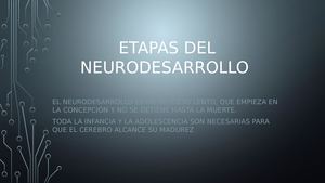 Etapas Del Neurodesarrollo