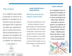 Mapa Conceptual Y Mental