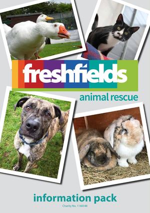 Freshfields Ebrochure 2019