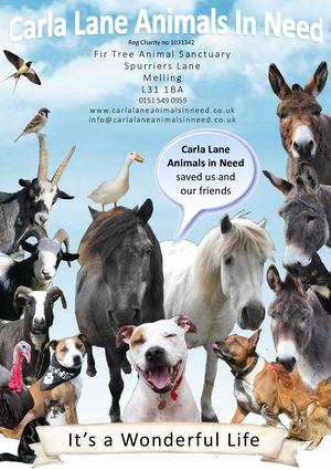 Carla Lane Ebrochure 2019