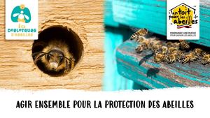 Un Toit Pour Les Abeilles x Les Dorloteurs