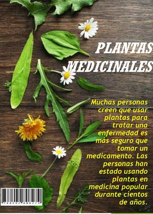 Plantas Medicinales Pptx