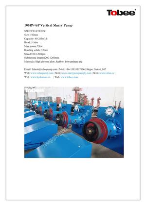 100RV-Sp Vertical SUMP Pump