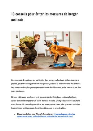 10 Conseils Pour éViter Les Morsures De Berger Malinois