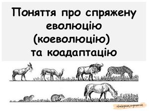 Поняття про коеволюцію та коадаптацію