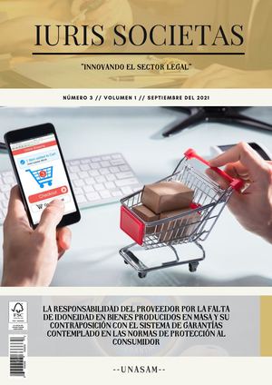 LA RESPONSABILIDAD DEL PROVEEDOR POR LA FALTA DE IDONEIDAD EN BIENES PRODUCIDOS EN MASA Y SU CONTRAPOSICIÓN CON EL SISTEMA DE GARANTÍAS CONTEMPLADO EN LAS NORMAS DE PROTECCIÓN AL CONSUMIDOR