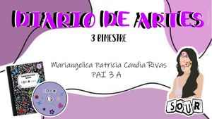 Diario De Artes 3