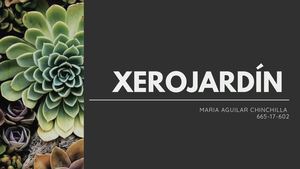 Xerojardín