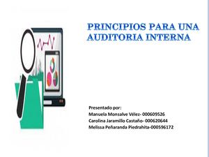 Principios Para Una Auditoria Interna Control Interno