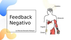Insulina Feedback Negativo