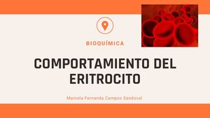 Comportamiento Del Eritrocito