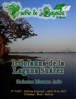Revista 15 Iv Corregida
