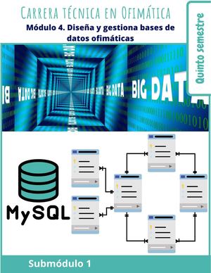 M4 Sm1 Diseña Y Gestiona Bases De Datos Ofimáticas Final