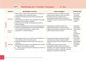 Plim Port 1ano Planificação 2021