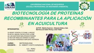 BIOTECNOLOGÍA DE PROTEINAS RECOMBINANTES