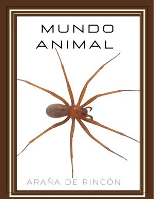 Araña Rincon