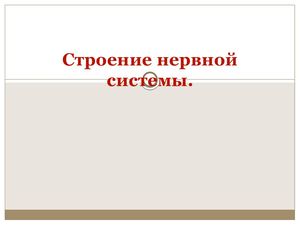 Строение нервной системы