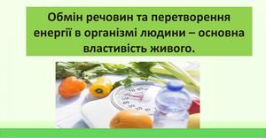 Обмін речовин