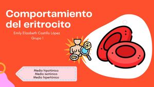 Comportamiento Del Eritrocito