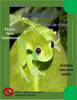 Revista Rana De Cristal