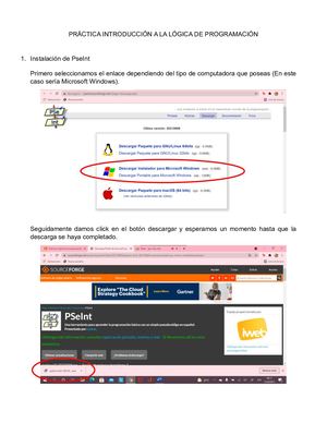 8c #26 López Katherine Pseint