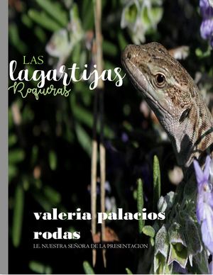 Lagartija Roquera