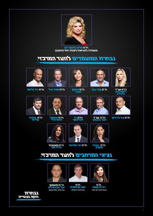 אלינה פרנקל רונן לנשיאות לשכת רואי החשבון