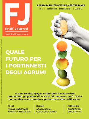 Fruit Journal | n.4/2021