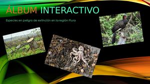 ÁLbum Interactivo